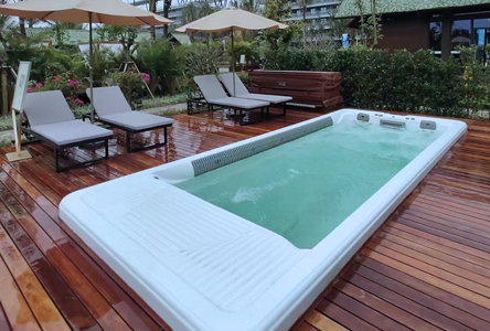 Hotel Project swim spa pool