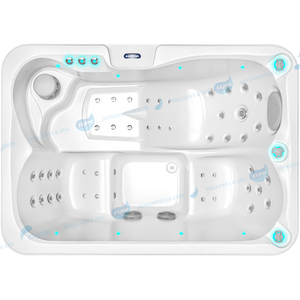 Europe Balboa Control Spa | Outdoor Spa Hot Tub for 2-3 Persons - JOYEE