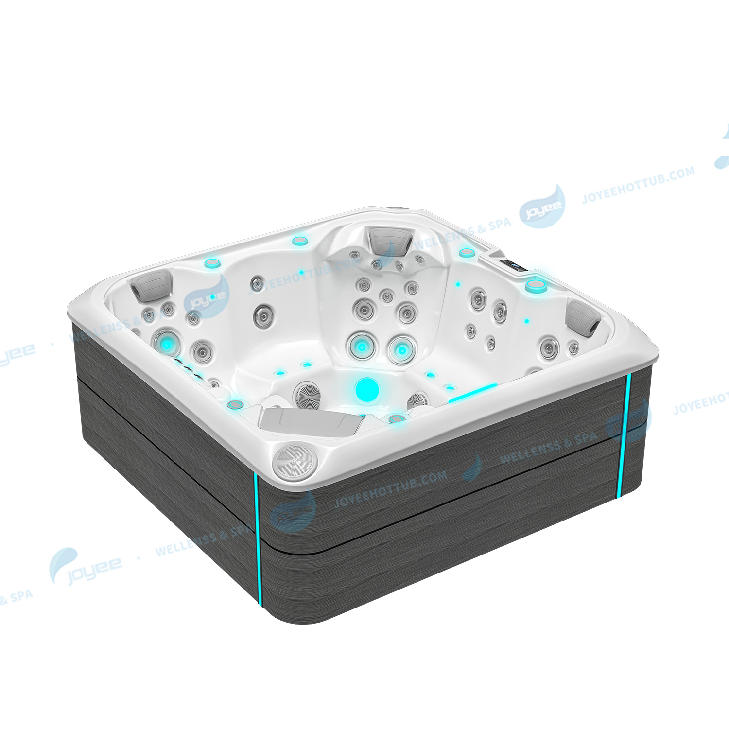 oem hottub(4)